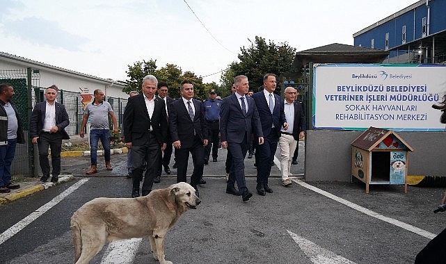 İstanbul Valisi Davut Gül Beylikdüzü’nde İncelemelerde Bulundu